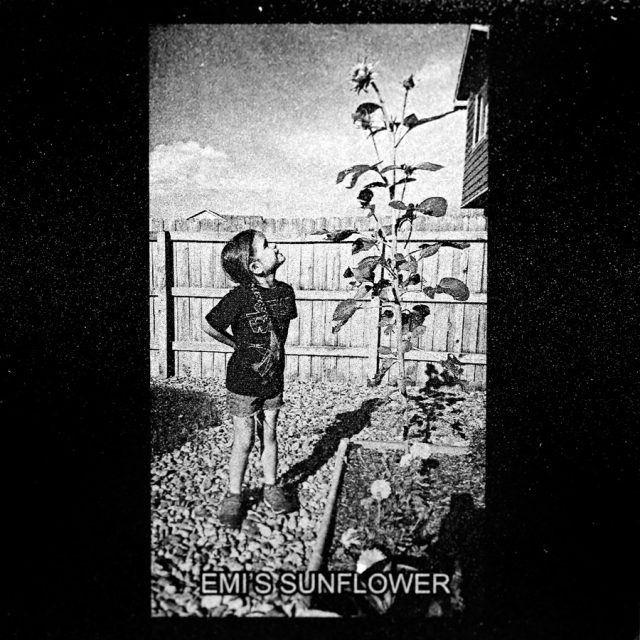 Engraving of a young girl in a Star Wars t-shirt looking up at a sunflower on a panel at the Maze of Honor