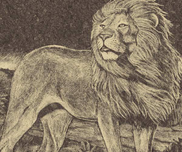 Etching on granite tile of a male lion at the History of Humanity in Granite near Yuma, Arizona